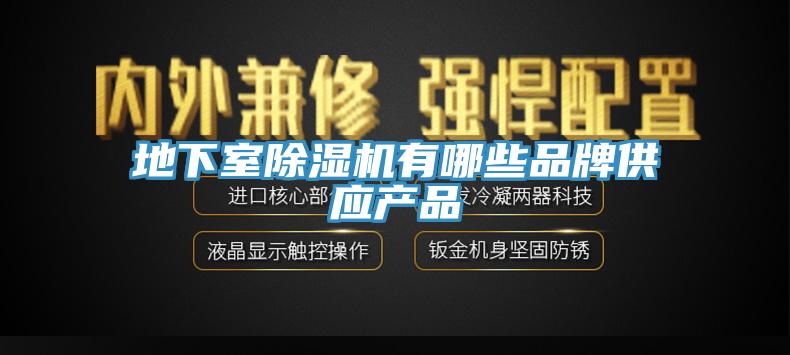 地下室小黄片直播视频有哪些品牌供应产品