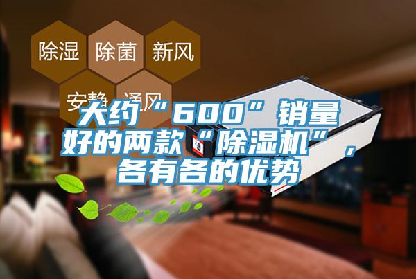 大约“600”销量好的两款“小黄片直播视频”，各有各的优势