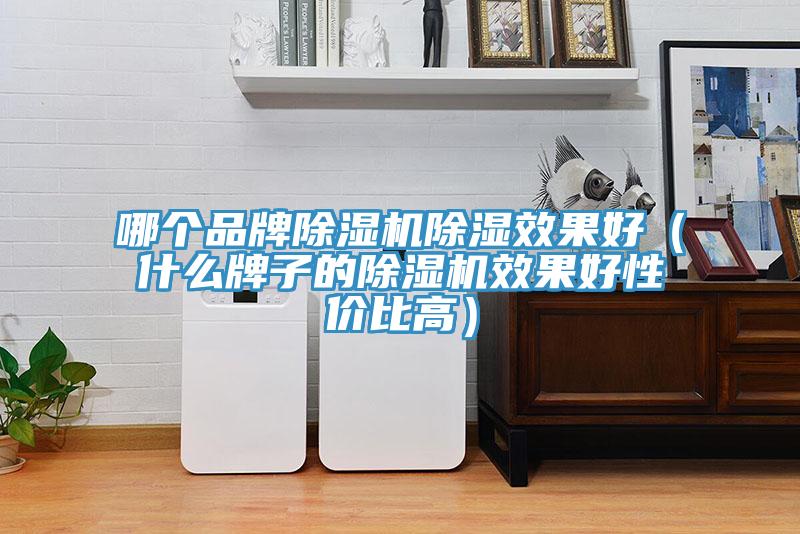 哪个品牌小黄片直播视频除湿效果好（什么牌子的小黄片直播视频效果好性价比高）