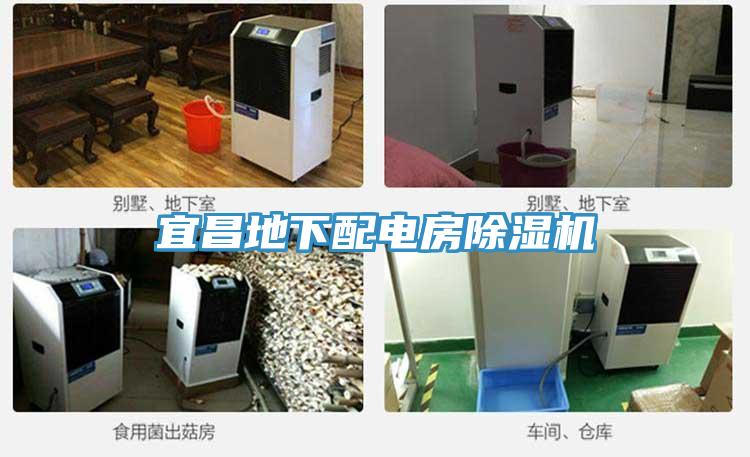 宜昌地下配电房小黄片直播视频
