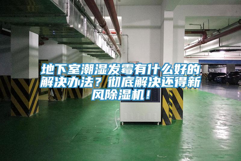 地下室潮湿发霉有什么好的解决办法？彻底解决还得新风小黄片直播视频！
