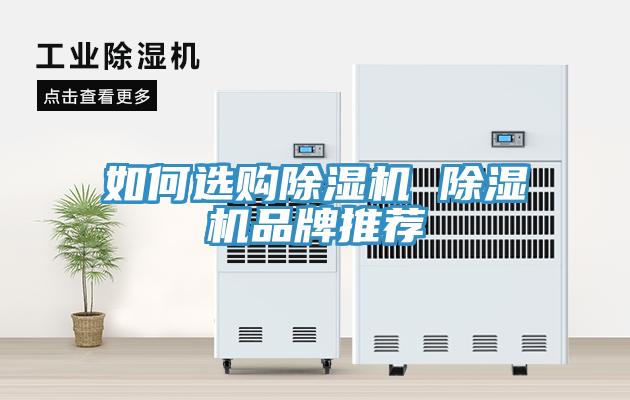 如何选购小黄片直播视频 小黄片直播视频品牌推荐
