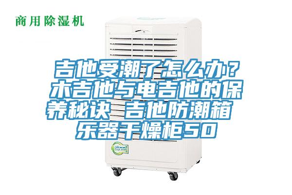 吉他受潮了怎么办？木吉他与电吉他的保养秘诀 吉他防潮箱 乐器干燥柜50