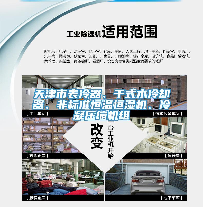 天津市表冷器、干式水冷却器、非标准恒温恒湿机、冷凝压缩机组