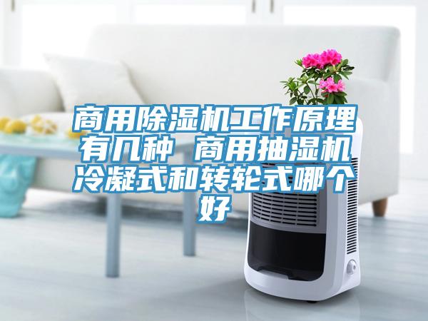 商用小黄片直播视频工作原理有几种 商用抽湿机冷凝式和转轮式哪个好