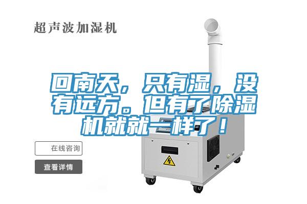 回南天，只有湿，没有远方。但有了小黄片直播视频就就一样了！