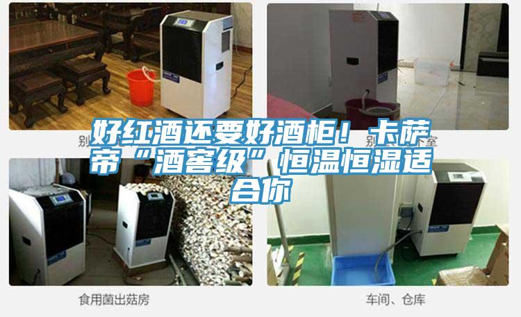好红酒还要好酒柜！卡萨帝“酒窖级”恒温恒湿适合你