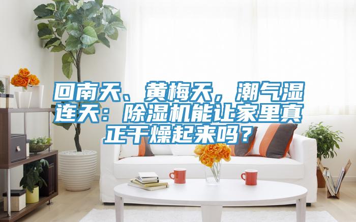回南天、黄梅天，潮气湿连天：小黄片直播视频能让家里真正干燥起来吗？