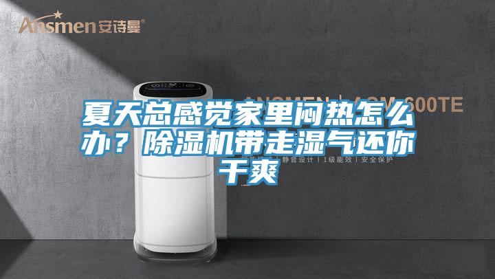 夏天总感觉家里闷热怎么办？小黄片直播视频带走湿气还你干爽