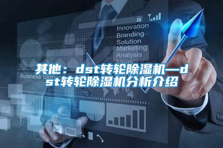 其他：dst转轮小黄片直播视频—dst转轮小黄片直播视频分析介绍