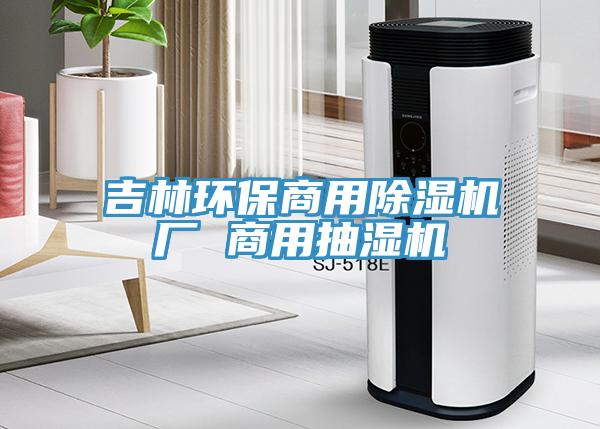 吉林环保商用小黄片直播视频厂 商用抽湿机