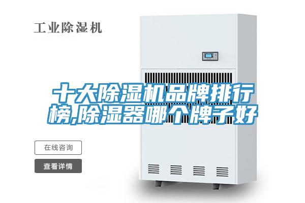 十大小黄片直播视频品牌排行榜,除湿器哪个牌子好