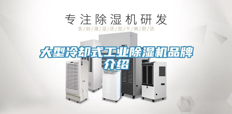大型冷却式工业小黄片直播视频品牌介绍