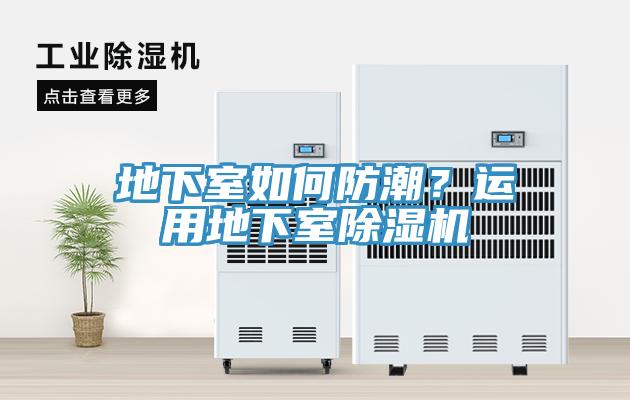 地下室如何防潮？运用地下室小黄片直播视频