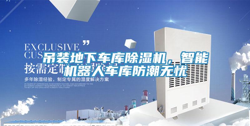 吊装地下车库小黄片直播视频，智能机器人车库防潮无忧