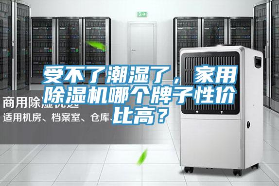 受不了潮湿了，家用小黄片直播视频哪个牌子性价比高？