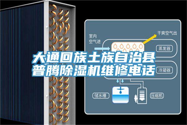 大通回族土族自治县普腾小黄片直播视频维修电话