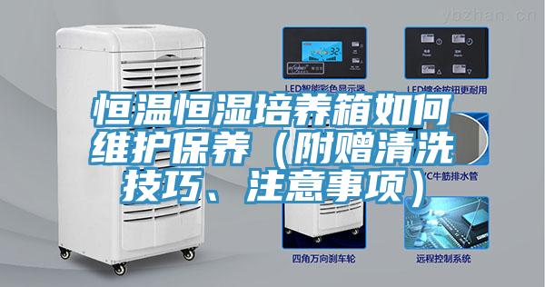 恒温恒湿培养箱如何维护保养（附赠清洗技巧、注意事项）