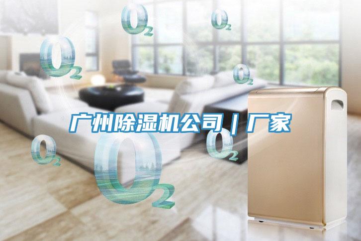 广州小黄片直播视频公司｜厂家