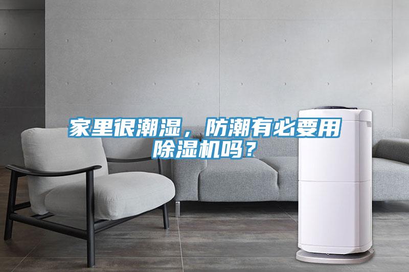 家里很潮湿，防潮有必要用小黄片直播视频吗？