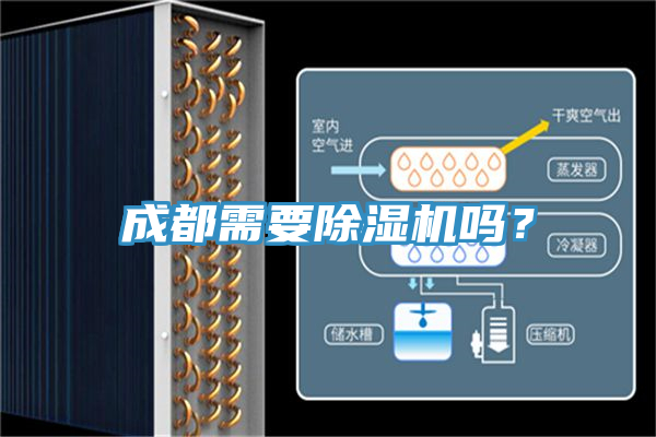 成都需要小黄片直播视频吗？