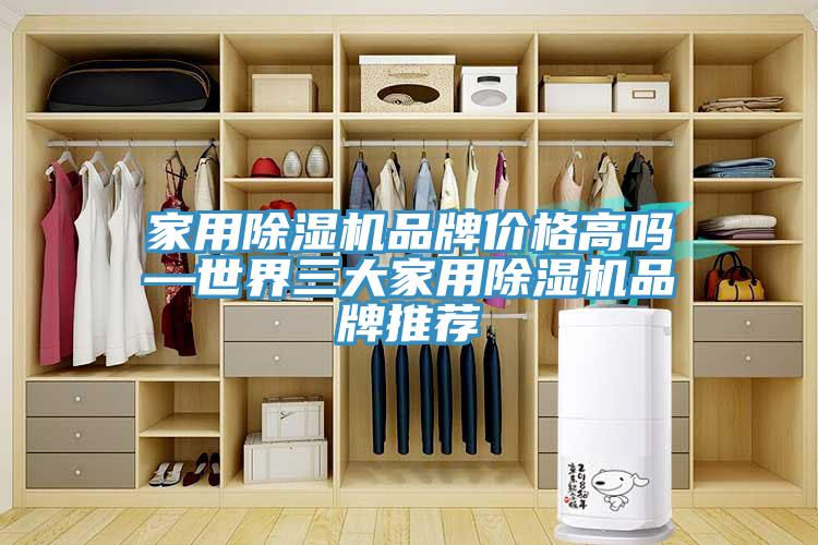 家用小黄片直播视频品牌价格高吗—世界三大家用小黄片直播视频品牌推荐