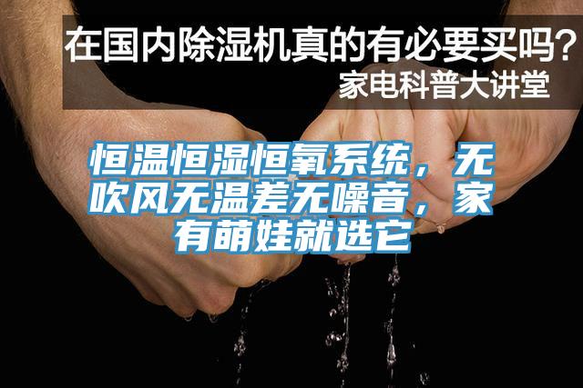 恒温恒湿恒氧系统，无吹风无温差无噪音，家有萌娃就选它