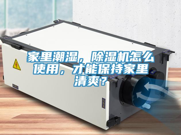 家里潮湿，小黄片直播视频怎么使用，才能保持家里清爽？