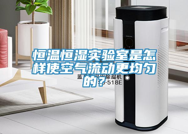 恒温恒湿实验室是怎样使空气流动更均匀的？