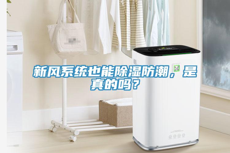 新风系统也能除湿防潮，是真的吗？