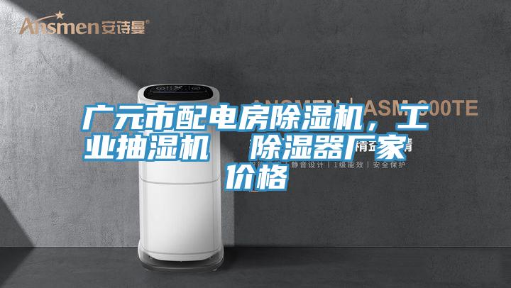 广元市配电房小黄片直播视频，工业抽湿机  除湿器厂家 价格