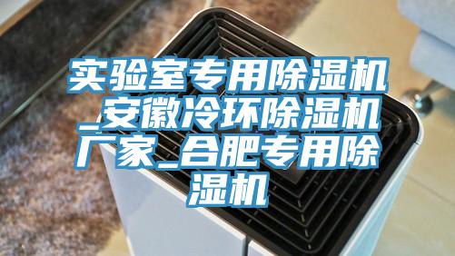 实验室专用小黄片直播视频_安徽冷环小黄片直播视频厂家_合肥专用小黄片直播视频