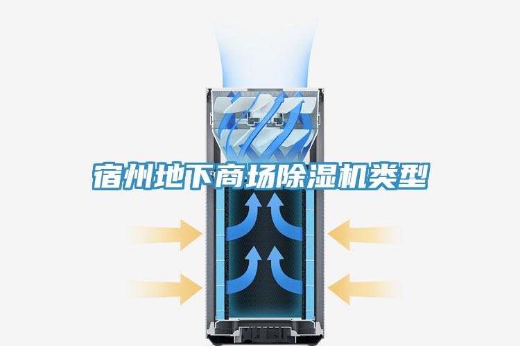 宿州地下商场小黄片直播视频类型