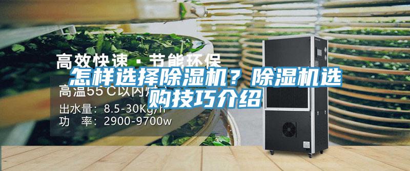 怎样选择小黄片直播视频？小黄片直播视频选购技巧介绍