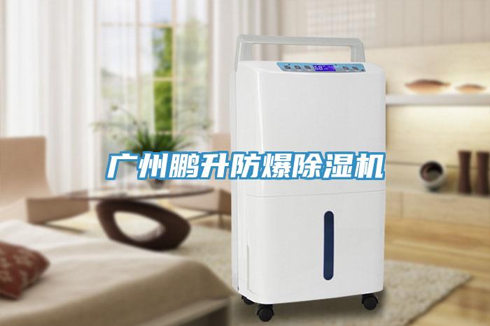 广州鹏升防爆小黄片直播视频