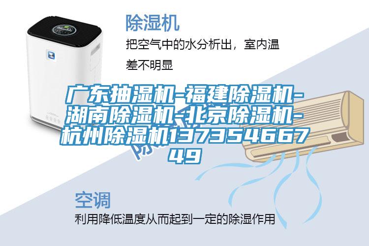 广东抽湿机-福建小黄片直播视频-湖南小黄片直播视频-北京小黄片直播视频-杭州小黄片直播视频13735466749