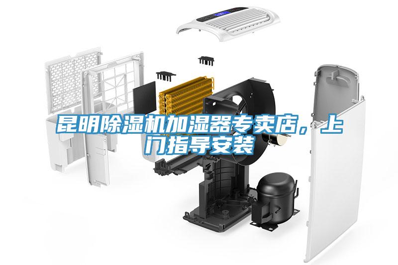 昆明小黄片直播视频加湿器专卖店，上门指导安装
