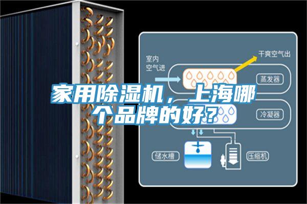 家用小黄片直播视频，上海哪个品牌的好？