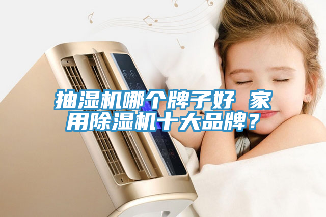 抽湿机哪个牌子好 家用小黄片直播视频十大品牌？