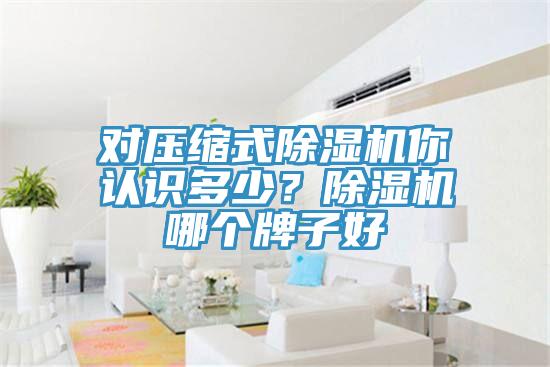 对压缩式小黄片直播视频你认识多少？小黄片直播视频哪个牌子好