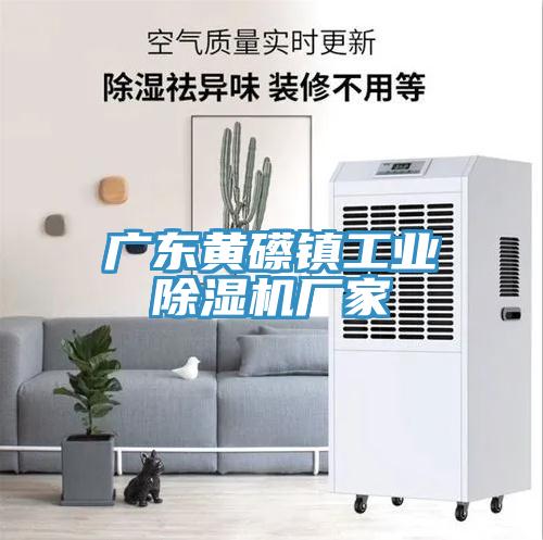 广东黄礤镇工业小黄片直播视频厂家