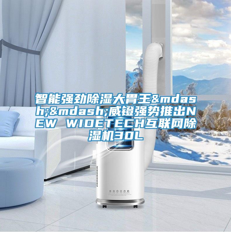 智能强劲除湿大胃王——威镫强势推出NEW WIDETECH互联网小黄片直播视频30L