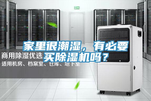 家里很潮湿，有必要买小黄片直播视频吗？