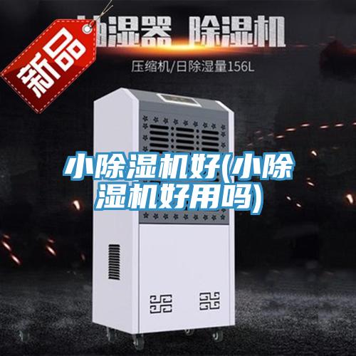 小小黄片直播视频好(小小黄片直播视频好用吗)