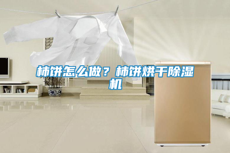 柿饼怎么做？柿饼烘干小黄片直播视频