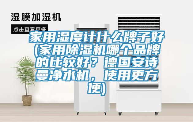 家用湿度计什么牌子好(家用小黄片直播视频哪个品牌的比较好？德国午夜小黄片APP净水机，使用更方便)