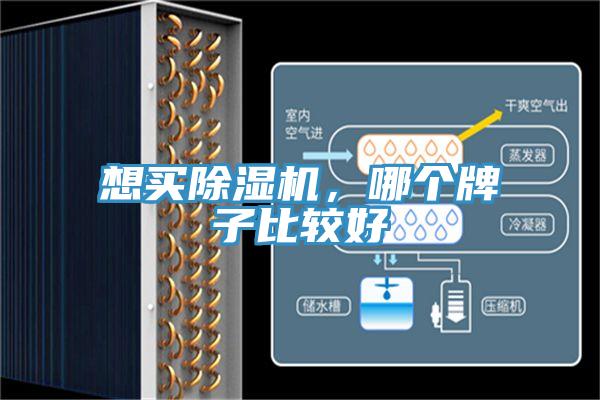 想买小黄片直播视频，哪个牌子比较好