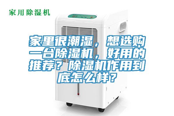 家里很潮湿，想选购一台小黄片直播视频，好用的推荐？小黄片直播视频作用到底怎么样？