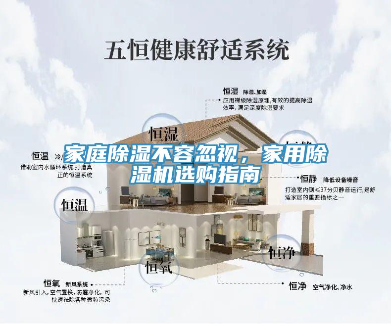家庭除湿不容忽视，家用小黄片直播视频选购指南