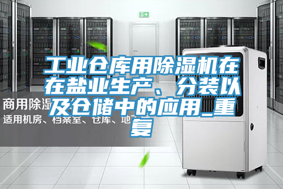 工业仓库用小黄片直播视频在在盐业生产、分装以及仓储中的应用_重复